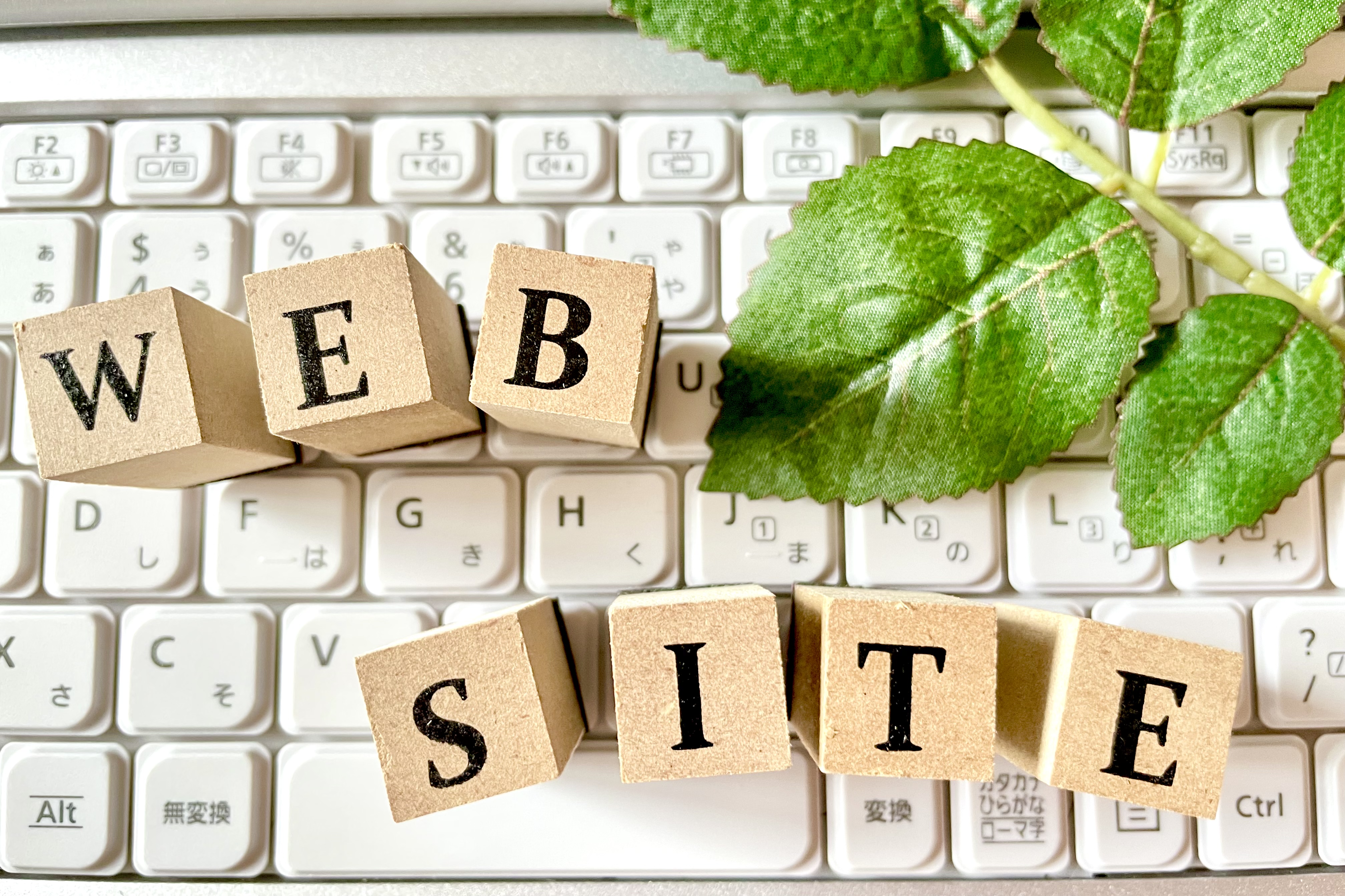 読者の目を引き、情報をわかりやすく伝えるために、さまざまなビジュアルを取り入れたサイトをイメージ。