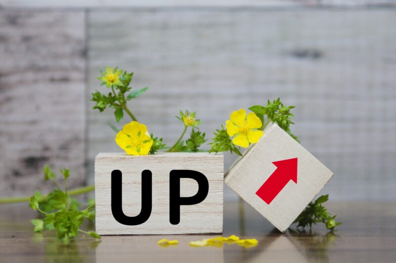 オウンドメディア 費用 収益アップ