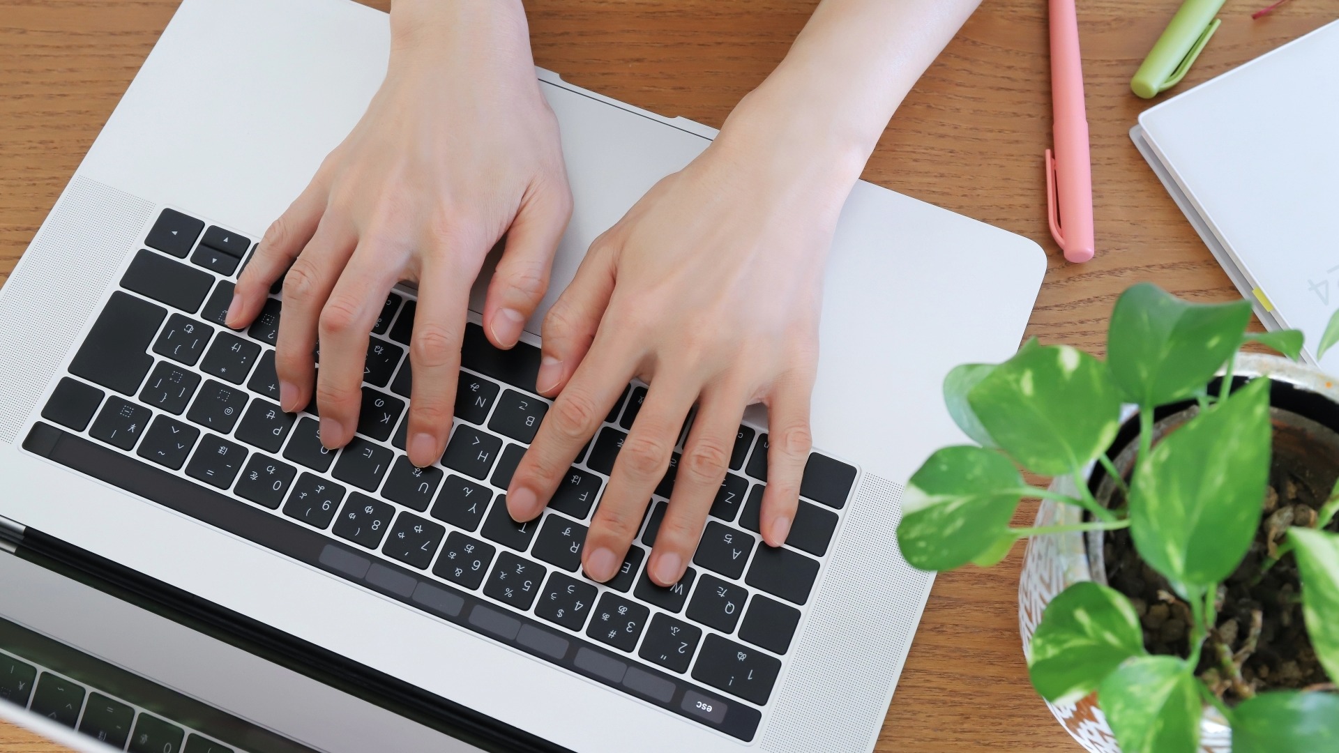 SEO外部対策のための情報発信。パソコンを操作し、サイテーション向上に繋がるコンテンツを投稿。